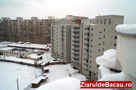 bacau
