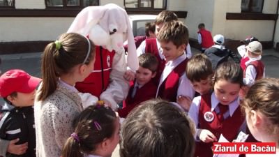 act.iepuras crucea rosie2
