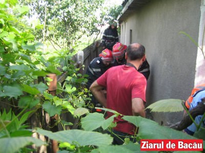 fd.hazna