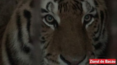 ts1.even.onesti.zoo-onesti-4
