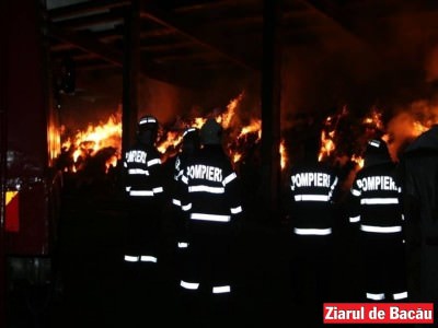 FD.focu