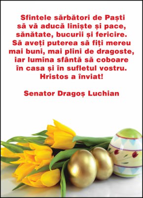 Dragos Luchian 13.7 x 18.9