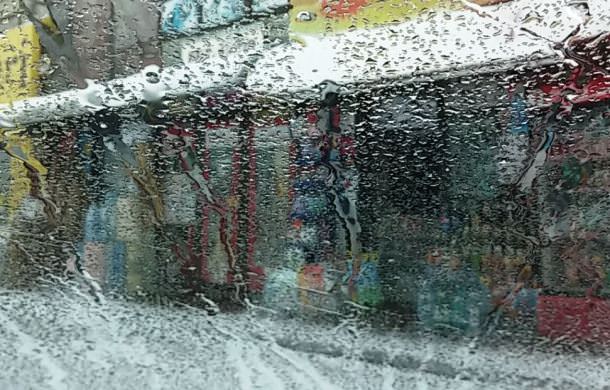 cod galben de ninsoare în Bacău