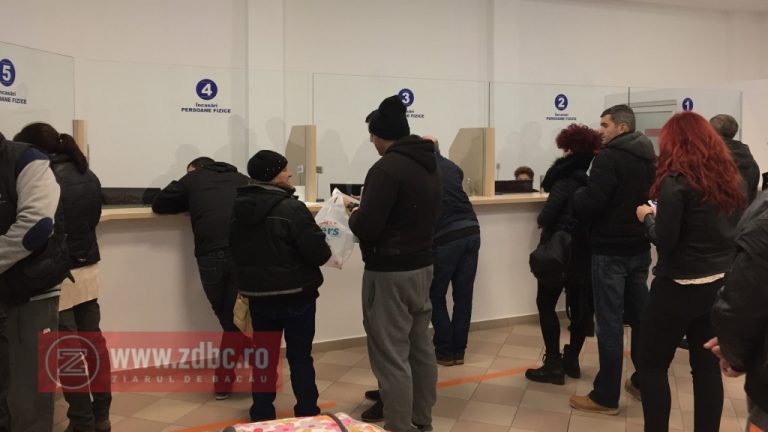 datornici primaria bacau