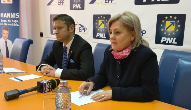 deputații tudorita lungu si ionel palar