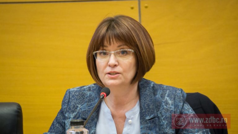 theodora sotcan deputat psd bacau