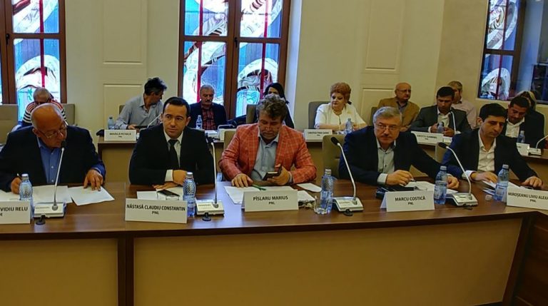 consilieri judeteni pnl bacau