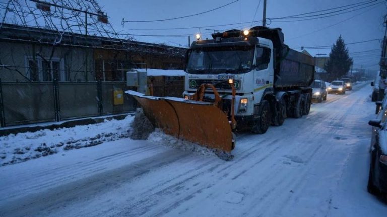 zapada bacau cod galben