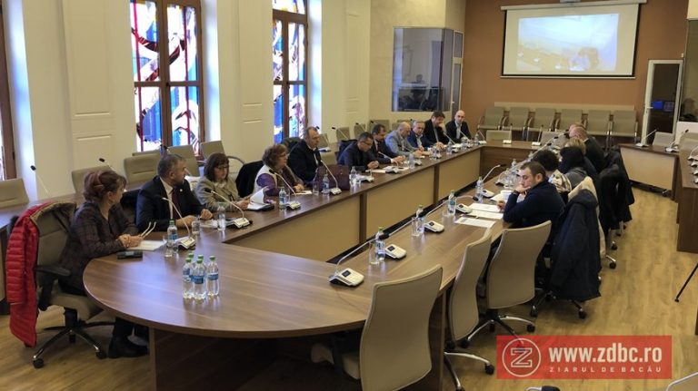 dezbatere masterplan sanatate consiliul judetean bacau