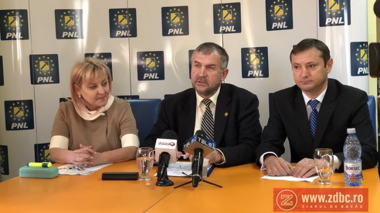 tudorita lungu viorel miron ionel palar spital comanesti masterplan