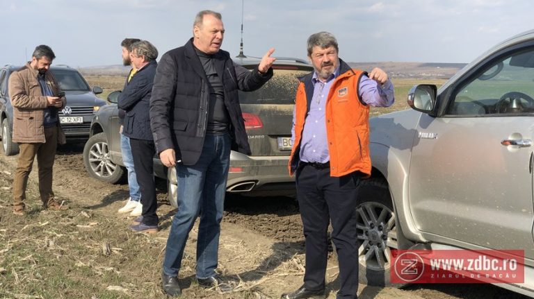 sova umbrarescu centura autostrada bacau