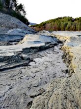 peisaj lacul valea uzului