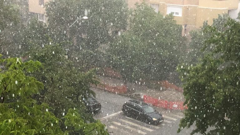 prognoza meteo