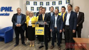 alegeri Parlamentul european pnl bacau 2019