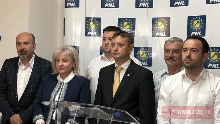 ionel palar tudorita lungu