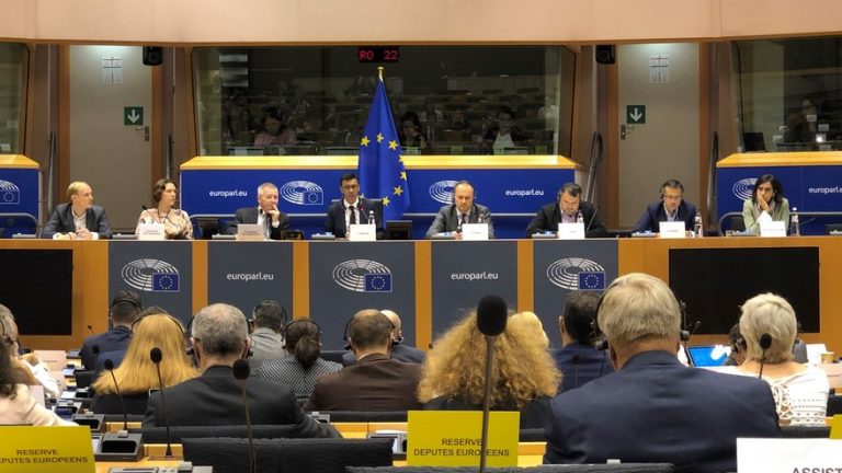 dragos benea parlamentul european