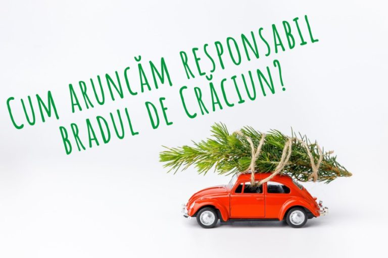 campanie colectare brazi naturali